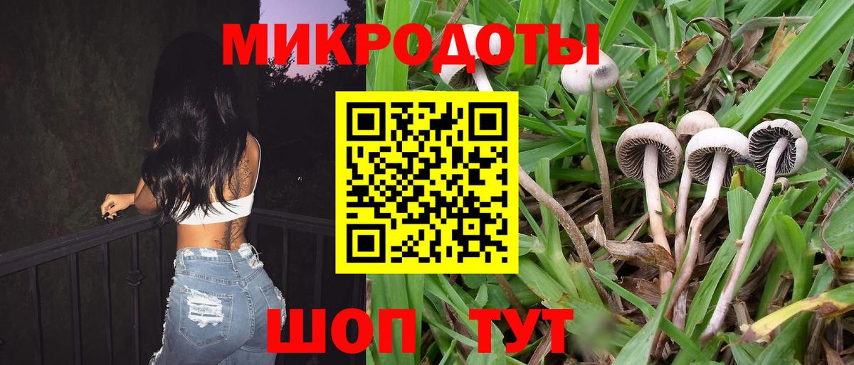 Псилоцибиновые грибы мухоморы Комсомольск-на-Амуре